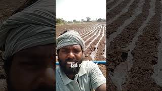 🙏🙏🌾🌾ప్లీజ్ సబ్స్క్రైబ్🙏🙏🌾🌾 #farming #youtube ##గ్రామీణ 👍👍