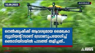 പാടത്ത് മരുന്നടിക്കാൻ ഡ്രോണ്‍: കൃഷി വകുപ്പിൻ്റെ പുതിയ പരീക്ഷണം വിജയം | Asianet News In Brief