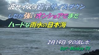 波サイズは若干サイズダウンしたが 強いオンショアで まだハードな 雨水の日本海 250219 夕方 ~サーフモンキーTV