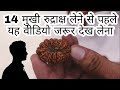 14 Mukhi 100% Origanal Nepali Rudraksha || Astro india Kheteshwar Rudraksh