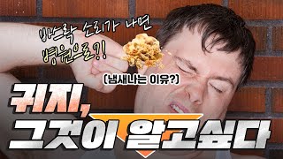 귀 관리, 제발 이렇게 합시다🙏 - 나는의사다869회