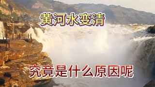 黄河水变清！入汛前的黄河水变得格外清澈，究竟是什么原因