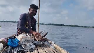 কুড়িল বিলের বড় মাছ ধরার ভিডিও | Bill Fishing Video | 2023