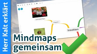 TeamMapper Anleitung – Mindmaps gemeinsam erstellen