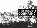 Что такое социал-шовинизм?