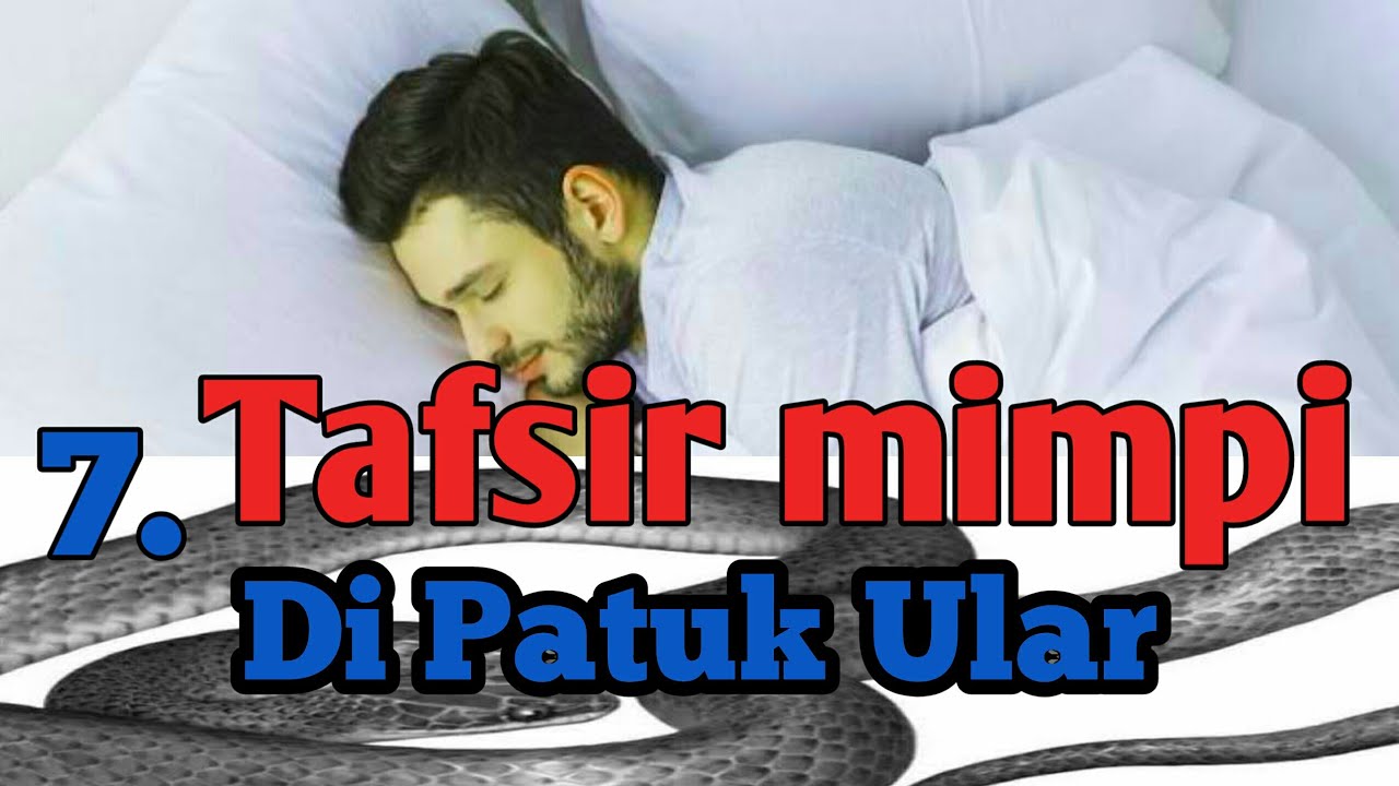 Arti Mimpi Melihat Ular Atau Dipatuk Ular ||inilah 7 Arti Mimpi Di ...