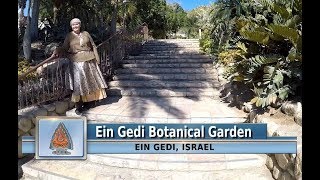 Ein-Gedi Botanical Garden-Explore Israel with The RiverWinds