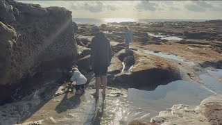 Tidepooling Tips Explore Nature S Hidden Wonders