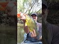 crazy creek fishing in australia