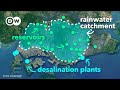 How Singapore is going from water rags to riches | DW Business