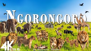 NGORONGORO CRATER 4K (60FPS) ଶାନ୍ତ ସଙ୍ଗୀତ ସହିତ ଆଶ୍ଚର୍ଯ୍ୟଜନକ ବନ୍ୟଜନ୍ତୁ ସଫାରି ଡକ୍ୟୁମେଣ୍ଟାରୀ ଚଳଚ୍ଚିତ୍ର