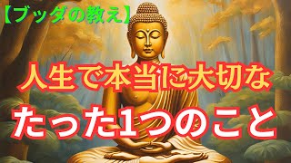 【ブッダの教え】人生で本当に大切なこと