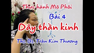 Bài giảng thực hành Mô Phôi - Bài 4 - Dây thần kinh - Ths. Bs. Trần Kim Thương