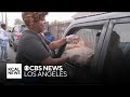 South LA church puts aside its own struggles to giveaway hundreds of Thanksgiving turkeys