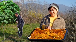 The Method of Growing Paulownia Tree – Perfect Samosa Recipe in the Village