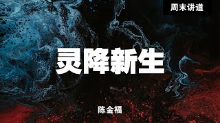 陈金福: 灵降新生