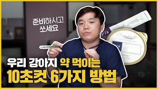 우리 강아지 약 쉽게 먹이는 마법의 10초컷 6가지 방법 :)