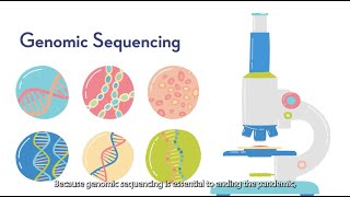 Genomic Sequencing Animated Explainer