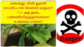 என்னது ! சீனி துளசி சாப்பிட்டால் கேன்சர் வருமா? FDA அத தடை பண்ணியிருந்தாங்களா? உண்மை என்ன?