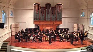 2015 Unimelb Chinese Music Ensemble Concert - Beautiful Peacock 美丽的金孔雀