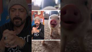 The most ADORABLE thing you will see today!🐷🍓 #asmr #cuteanimals #cute