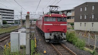 [ED75 757廃車回送] 10月9日土呂駅 配8146レ EF81 141+ED75 757