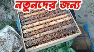 এবার মৌমাছি বক্স ডিভিশন | নতুন চাষির জন্য | আপনিও পারবেন।