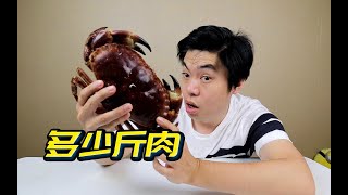 一只面包蟹能剥多少斤肉？掰开之后原来这样，我又“杯具”了