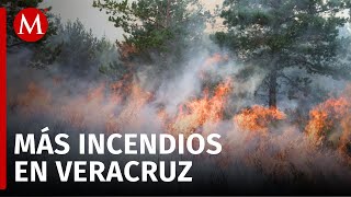 7 mil 409 hectáreas afectadas tras 145 incendios forestales registrados en Veracruz