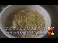 毎日麺生活🍜本日の一杯！2024 12 20 no.245