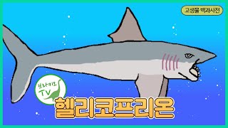 #6 헬리코프리온을 소개합니다. l 독특한 아래 턱 l 고생물 백과사전 | Helicoprion