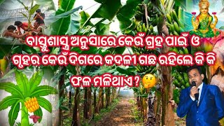 ବାସ୍ତୁଶାସ୍ତ୍ର ଅନୁସାରେ କେଉଁ ଗ୍ରହ ପାଇଁ ଓ ଗୃହର କେଉଁ ଦିଗରେ କଦଳୀ ଗଛ ରହିଲେ କି କି ଫଳ ମିଳିଥାଏ ? 🤔#odisha