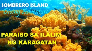 DISCOVERING THE BEAUTY OF THE DEEP (Sombrero Island, Batangas Diving Adventure)