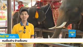 คนเลี้ยงช้าง ช้างเลี้ยงคน | NEW18