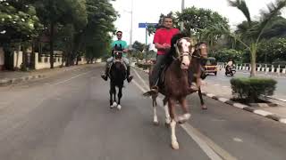 Horse Riding in surat city (RAJ)