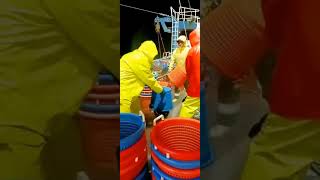 how too clean 200 basket  cleaning the in right way