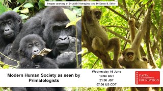 Modern Human Society as seen by Primatologists