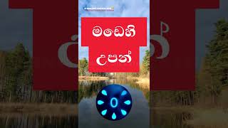 මඩෙහි උපන්?🤔| තනි පද | සිංහල භාෂාව | general knowledge sinhala #shorts #thanipada #gk #sinhala #fyp