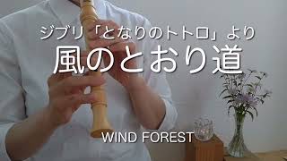 ジブリ「となりのトトロ」より【風のとおり道】ソプラノリコーダー/Ghibli/from My Neighbor Totoro”WIND FOREST”soprano recorder