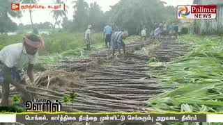 20 செங்கரும்புகளைக் கொண்ட ஒரு கட்டு ரூ.300க்கு விற்பனை - விவசாயிகள் மகிழ்ச்சி