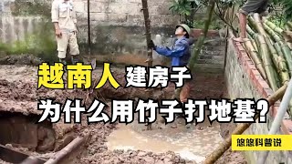 越南自建房的独门秘籍：打地基不用钢筋混凝土，仅靠竹子和砖块