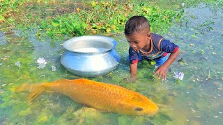 Amazing Boy Catching Fish By Hand | Traditional Little Catching Big Fish By Hand in Mud Water