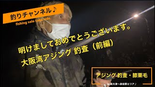 アジング 釣査・膝栗毛（前編）in 大阪・泉大津〜泉佐野エリア♪