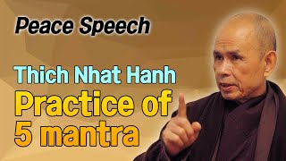 Practice of 5 mantra [Thich Nhat Hanh peace Speech 8]