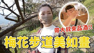 【vlog】超美梅花步道！帶大叔來南投線紫南宮還願及梅子夢工廠一日遊！