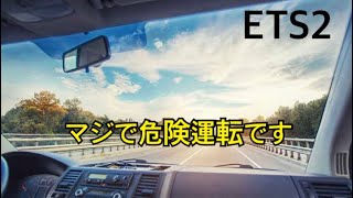 ETS2でライト消してふざけて運転した結果…