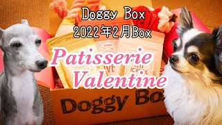 愛犬と一緒に楽しむバレンタインパーティ ～Patisserie Valentine～【Doggy Box｜ドギーボックス｜2022年2月BOX】