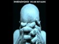 Breaking Benjamin-Break My Fall (Clean Version) (Live)