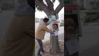 I Rescued An Abandoned Dog