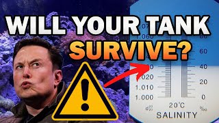 Can Your Tank Survive At 1.035 Salinity?